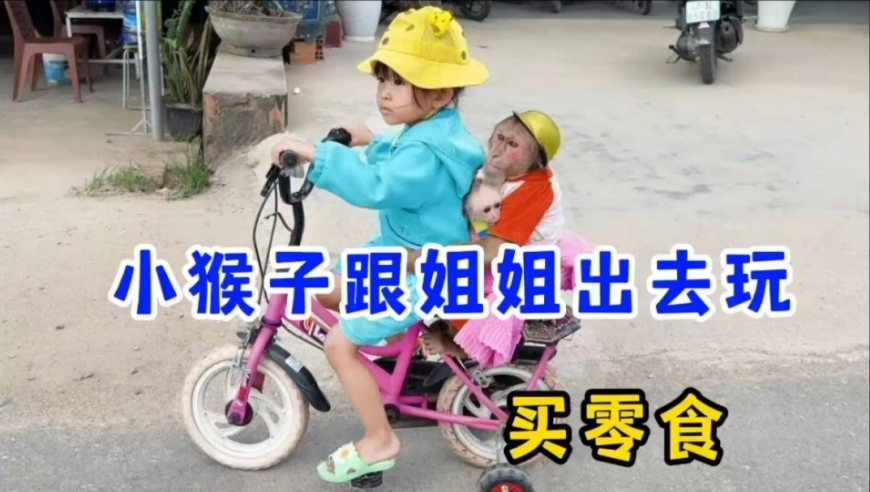 二四六天好彩944cc每期免费资讯图文80,曝马斯克要赔特朗普约1000万美元,最新热门解答落实_标配版V4.14